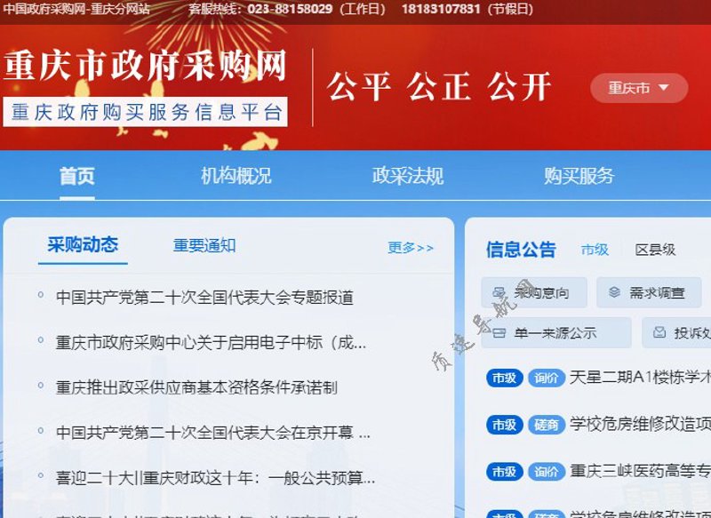 招投标信息：行业动态与市场趋势